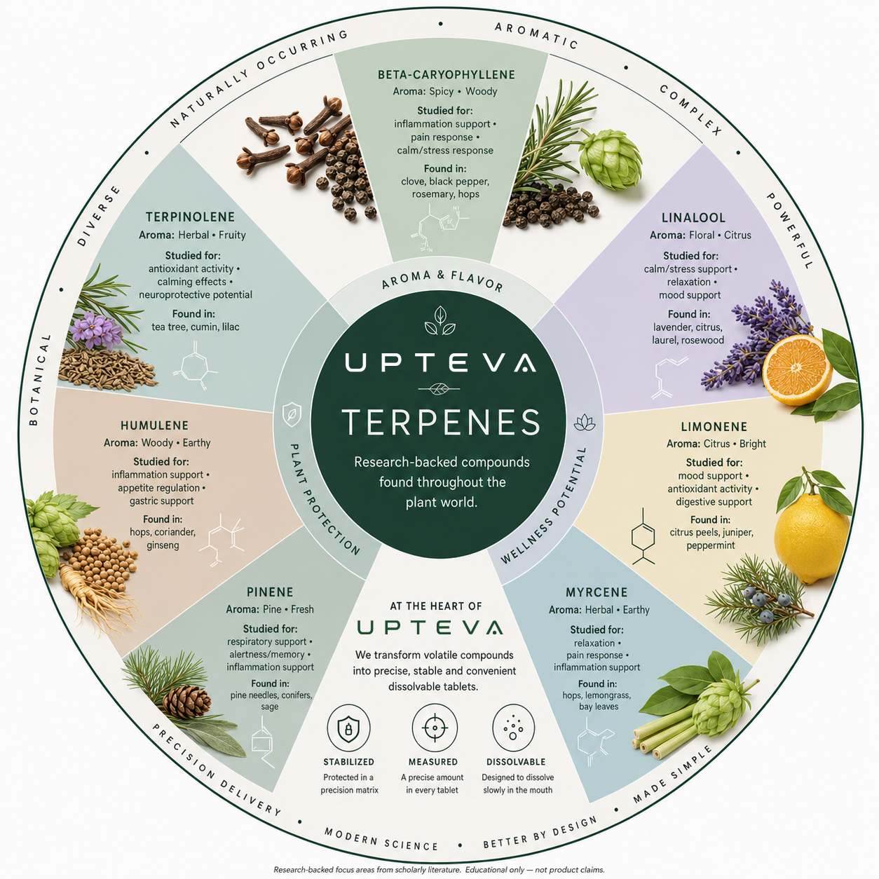 UPTEVA botanical illustration introducing terpenes